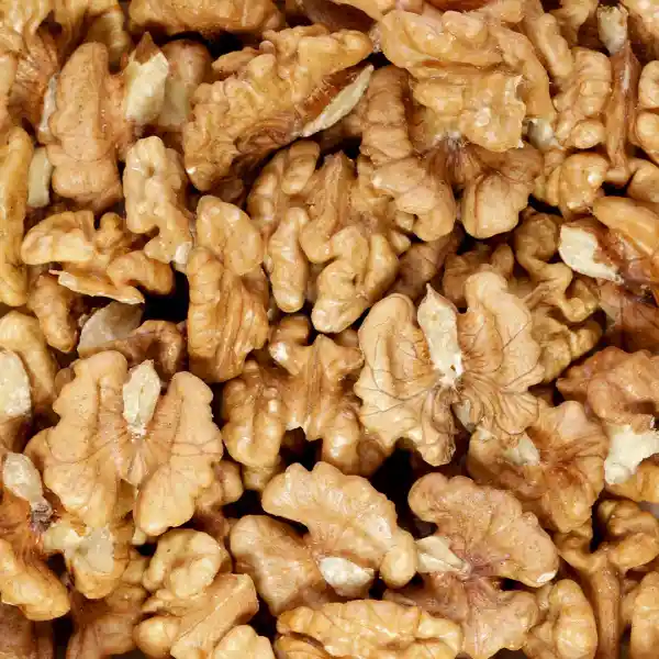 خرید گردو ایرانی