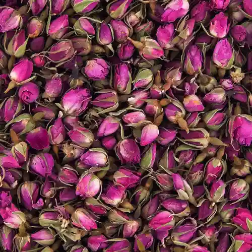 غنچه گل محمدی بنر