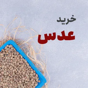 خرید عدس بنر موبایل